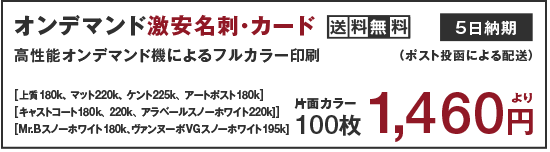名刺オンデマンド印刷 片面カラー100部 1,460円